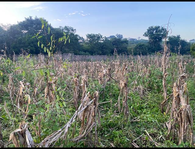 4,500M² VACANT LAND FOR SALE IN NGOVHELA